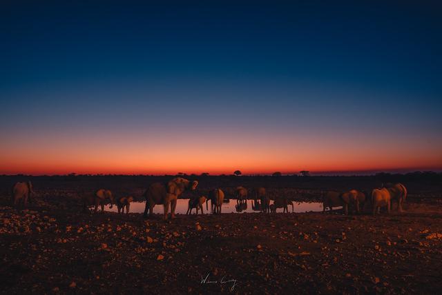 納米比亞自助游旅行指南,埃托沙國家公園介紹與旅行建議