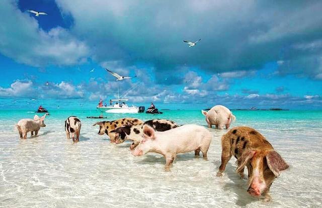 好想玩遍整個地球,人生必試的15項旅游清單你完成了多少項?