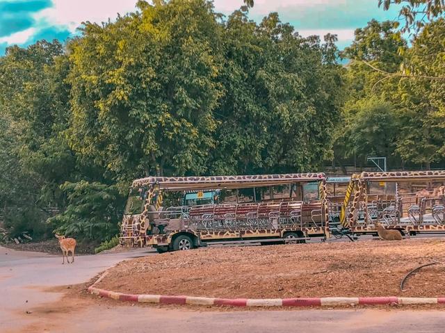 幫你整理好了,泰國清邁必去景點實用旅游攻略在這