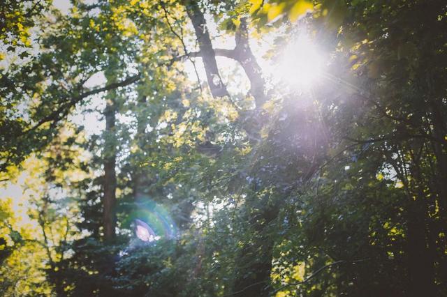 穿著Columbia戶外的衣服輕裝簡行,秋日漫步法國布洛涅森林