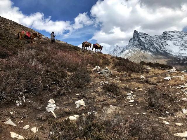 四川稻城亞丁親身游玩經驗分享,藍色星球上的最后一片凈土