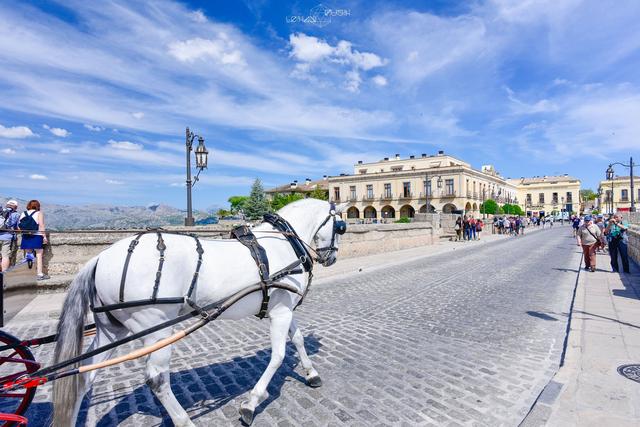 發(fā)現(xiàn)一個不一樣的西班牙,白色山城懸崖小鎮(zhèn)龍達Ronda自由行