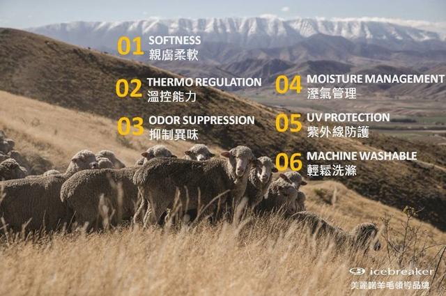 羊毛衣清洗好麻煩,三分鐘美利奴羊毛洗滌保養(yǎng)知識(shí)