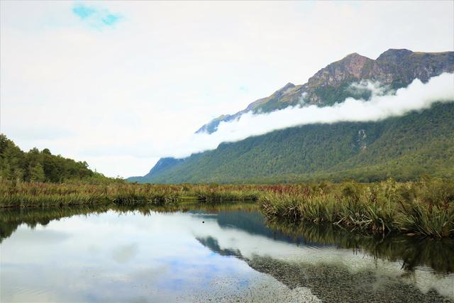 新西蘭皇后鎮必去米佛峽灣經典一日游攻略,探索世界第八大奇跡