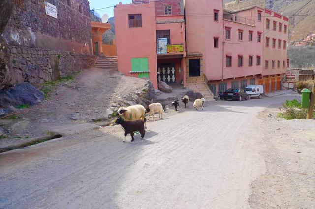 摩洛哥自助旅游攻略,北非第一高峰圖卜卡勒峰徒步之旅