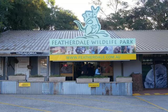 澳大利亞悉尼藍(lán)山國家公園一日游攻略,帶你一探藍(lán)山之美