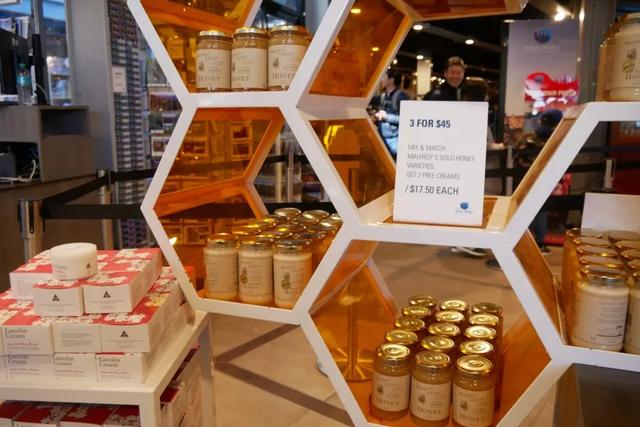 澳大利亞悉尼藍(lán)山國家公園一日游攻略,帶你一探藍(lán)山之美