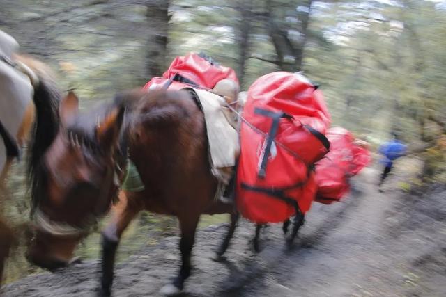 攀登那瑪峰游記攻略分享,那瑪峰朝圣貢嘎之路