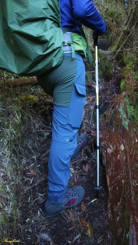 戶外裝備測評,Komperdell登山杖和Enforma羊毛襪