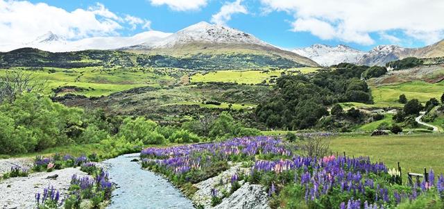 新西蘭南島自由行,皇后鎮(zhèn)Queens Town與近郊景點(diǎn)行程推薦