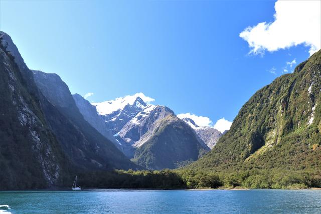 新西蘭皇后鎮必去米佛峽灣經典一日游攻略,探索世界第八大奇跡