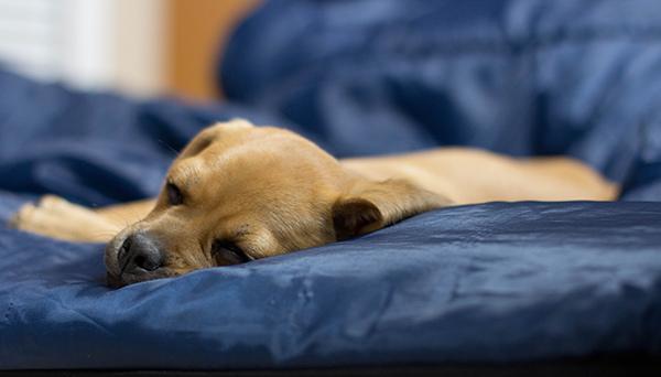 關于露營,你不可忽視的那些事兒