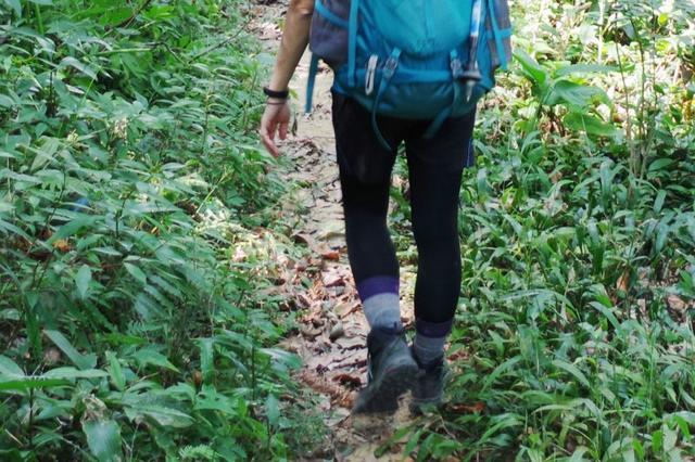 兩天一夜輕裝戶外裝備實(shí)測(cè),Odlo、Gregory和Smartwool