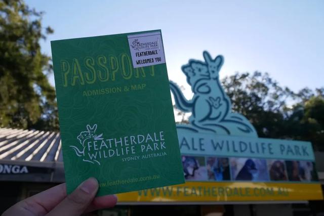 澳大利亞悉尼藍(lán)山國家公園一日游攻略,帶你一探藍(lán)山之美