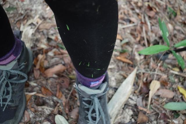 兩天一夜輕裝戶外裝備實(shí)測(cè),Odlo、Gregory和Smartwool