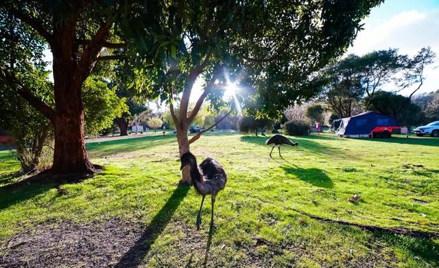 澳洲行墨爾本大洋路自駕,開露營車三天兩夜自駕游