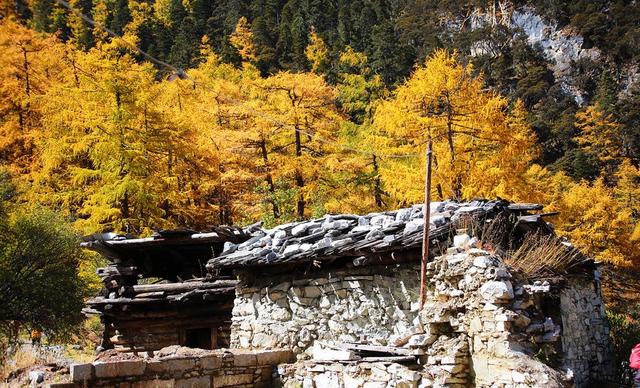 川西徒步稻城亞丁,除了美景還有沖古寺