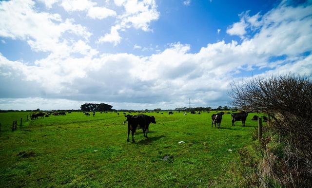 澳洲行墨爾本大洋路自駕,開露營車三天兩夜自駕游