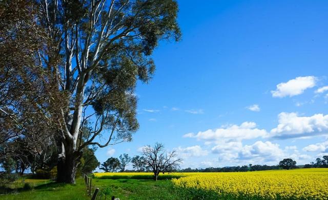 澳洲行墨爾本大洋路自駕,開露營車三天兩夜自駕游