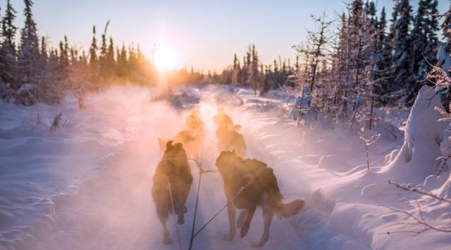 阿拉斯加看極光,來場幸福的極光冒險吧