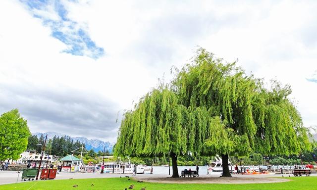 新西蘭南島自由行,皇后鎮(zhèn)Queens Town與近郊景點(diǎn)行程推薦