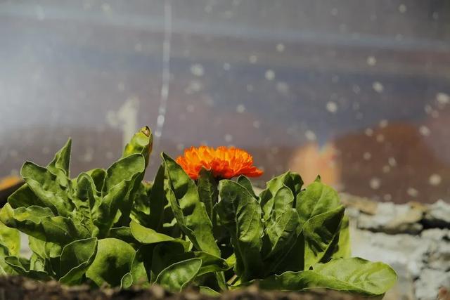 攀登那瑪峰游記攻略分享,那瑪峰朝圣貢嘎之路