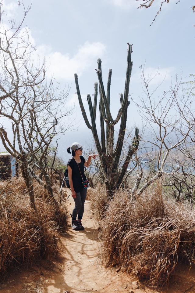 夏威夷火山徒步之旅,穿著Salomon薩洛蒙輕量戶外鞋實測