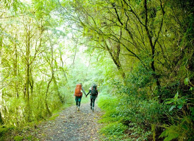 最全戶外背包選購指南,不會買錯的心得分享