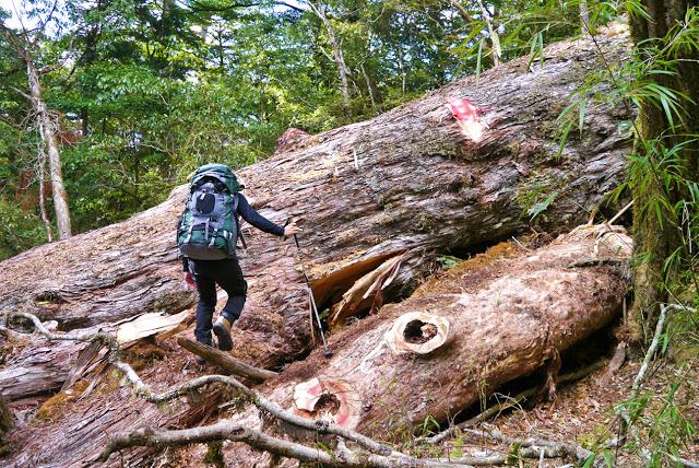 最全戶外背包選購指南,不會買錯的心得分享