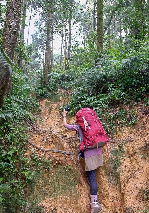 SmartWool美麗諾羊毛衣測評(píng)體驗(yàn)報(bào)告,秋冬季節(jié)的選擇