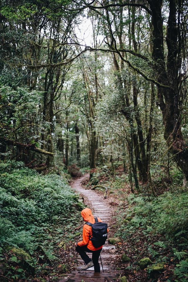 薩洛蒙Salomon三款戶外鞋實測,三種戶外生活情景