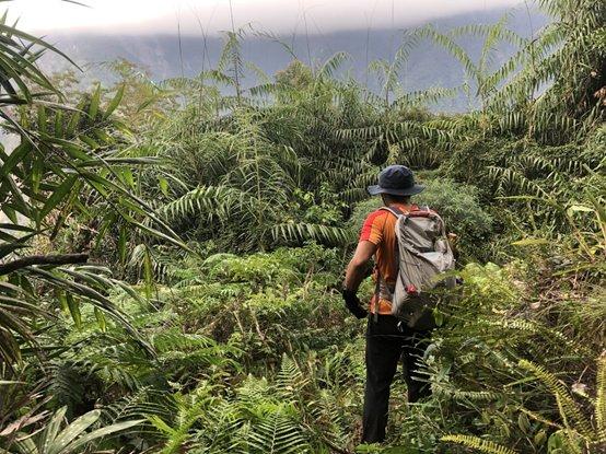 縱橫山野的最佳伙伴,德國專業戶外品牌TATONKA塔通卡戶外背包實測