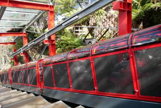 澳大利亞悉尼藍(lán)山國家公園一日游攻略,帶你一探藍(lán)山之美