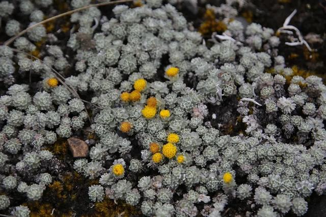 攀登那瑪峰游記攻略分享,那瑪峰朝圣貢嘎之路