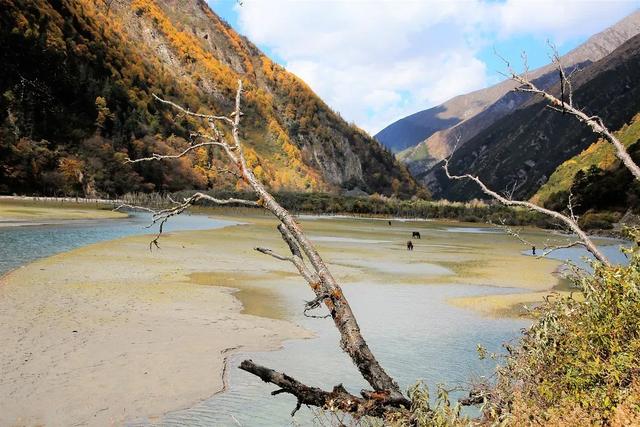 攀登那瑪峰游記攻略分享,那瑪峰朝圣貢嘎之路