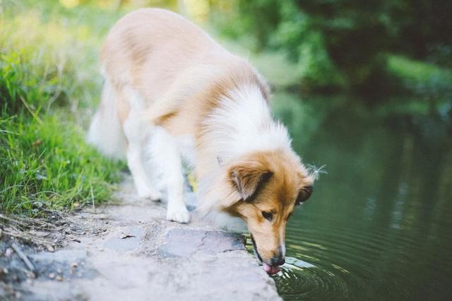 穿著Columbia戶外的衣服輕裝簡行,秋日漫步法國布洛涅森林