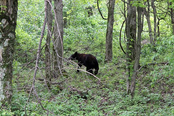 關于露營,你不可忽視的那些事兒