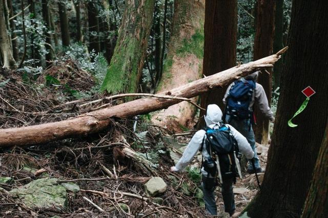 秋冬季節參加戶外活動,東西太多背包裝不下怎么辦