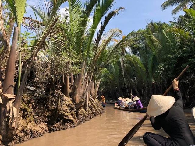 出國旅游當屬越南受歡迎,越南胡志明、美奈自助游攻略