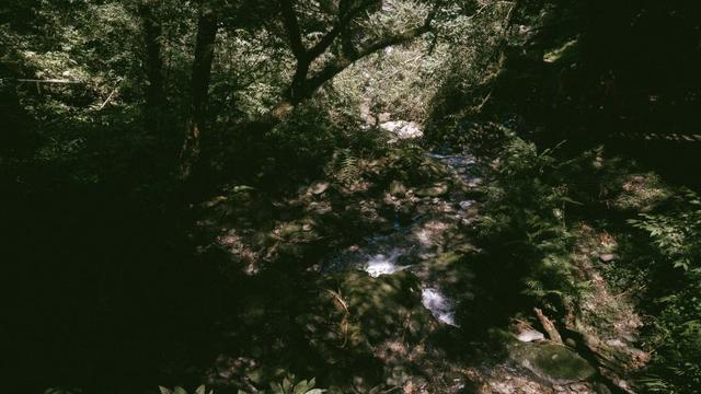 戶外鞋應該多重?入手的La sportiva戶外多功能鞋體驗