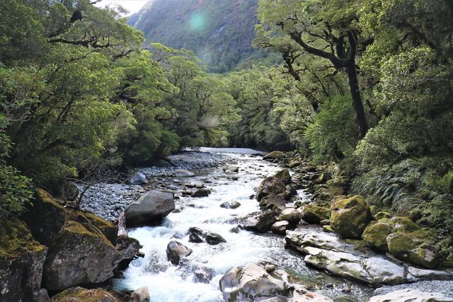 新西蘭皇后鎮必去米佛峽灣經典一日游攻略,探索世界第八大奇跡