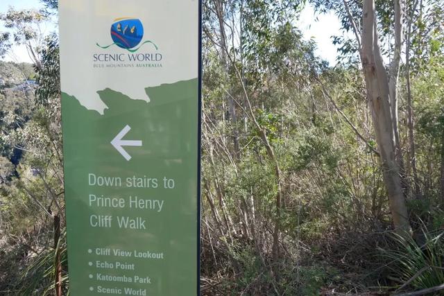 澳大利亞悉尼藍(lán)山國家公園一日游攻略,帶你一探藍(lán)山之美