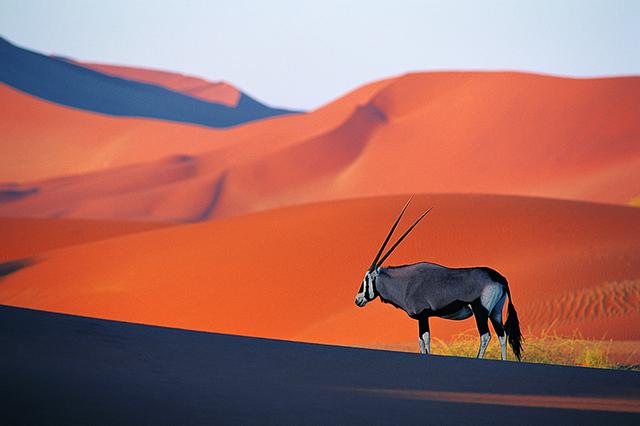 難以到達但是值得一游的旅行目的地,你都去過幾個?