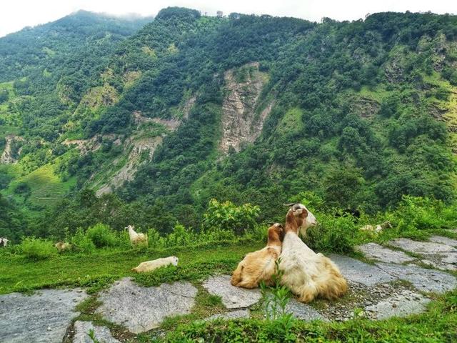 尼泊爾徒步旅游,一個人走安娜普爾納ABC大環線