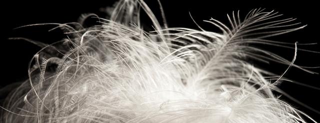 羽絨服和棉服哪個更保暖?看完就知道如何選擇了