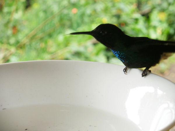 南美安第斯山脈徒步穿越,哥倫比亞篇回憶錄