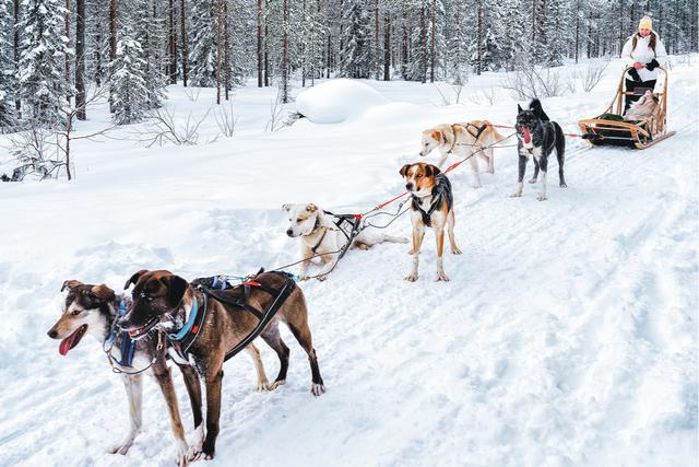 瑞典自由行旅游攻略,體驗北極圈城市別樣情懷