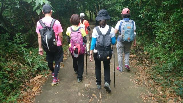 我用過的這款登山杖,FIZAN超輕三節(jié)式登山杖實測 我用過的這款登山杖,FIZAN超輕三節(jié)式登山杖實測