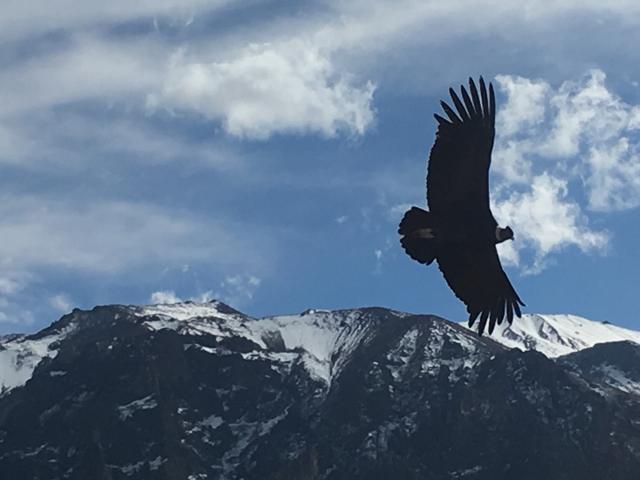 南美秘魯自由行,邊走邊玩邊安排