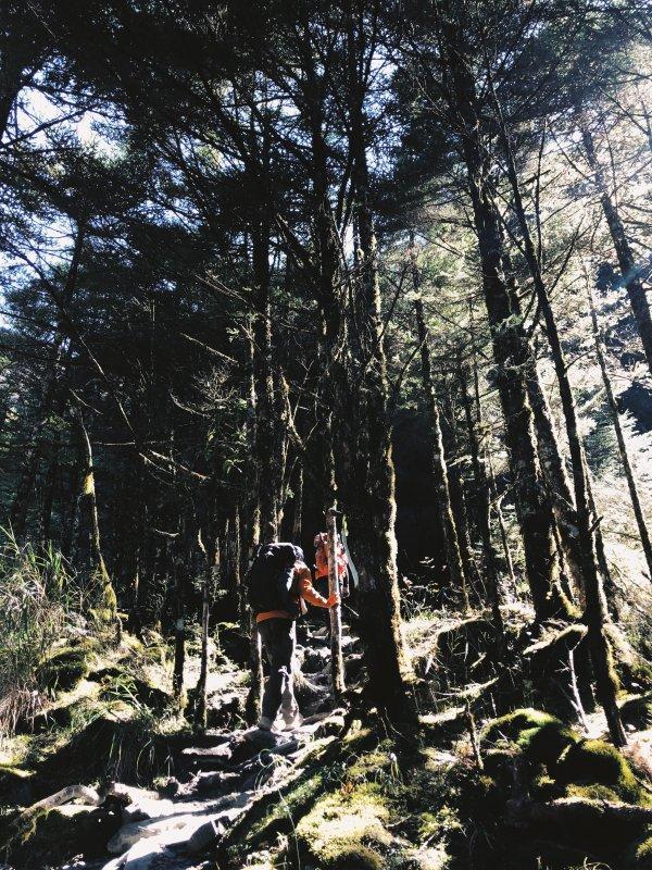 戶外羽絨服數(shù)不勝數(shù),Haglofs（火柴棍）戶外羽絨服了解一下?